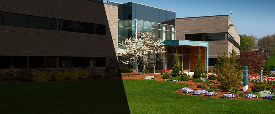 San Luis Obispo Landscapers