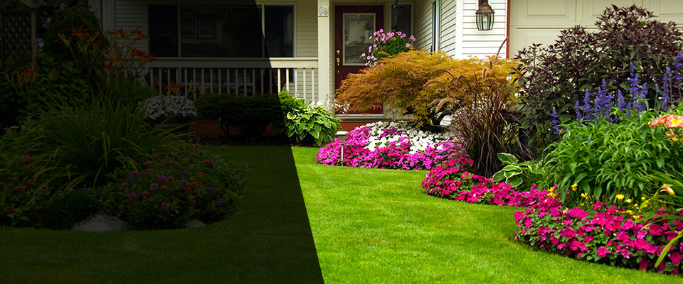 San Luis Obispo Landscapers